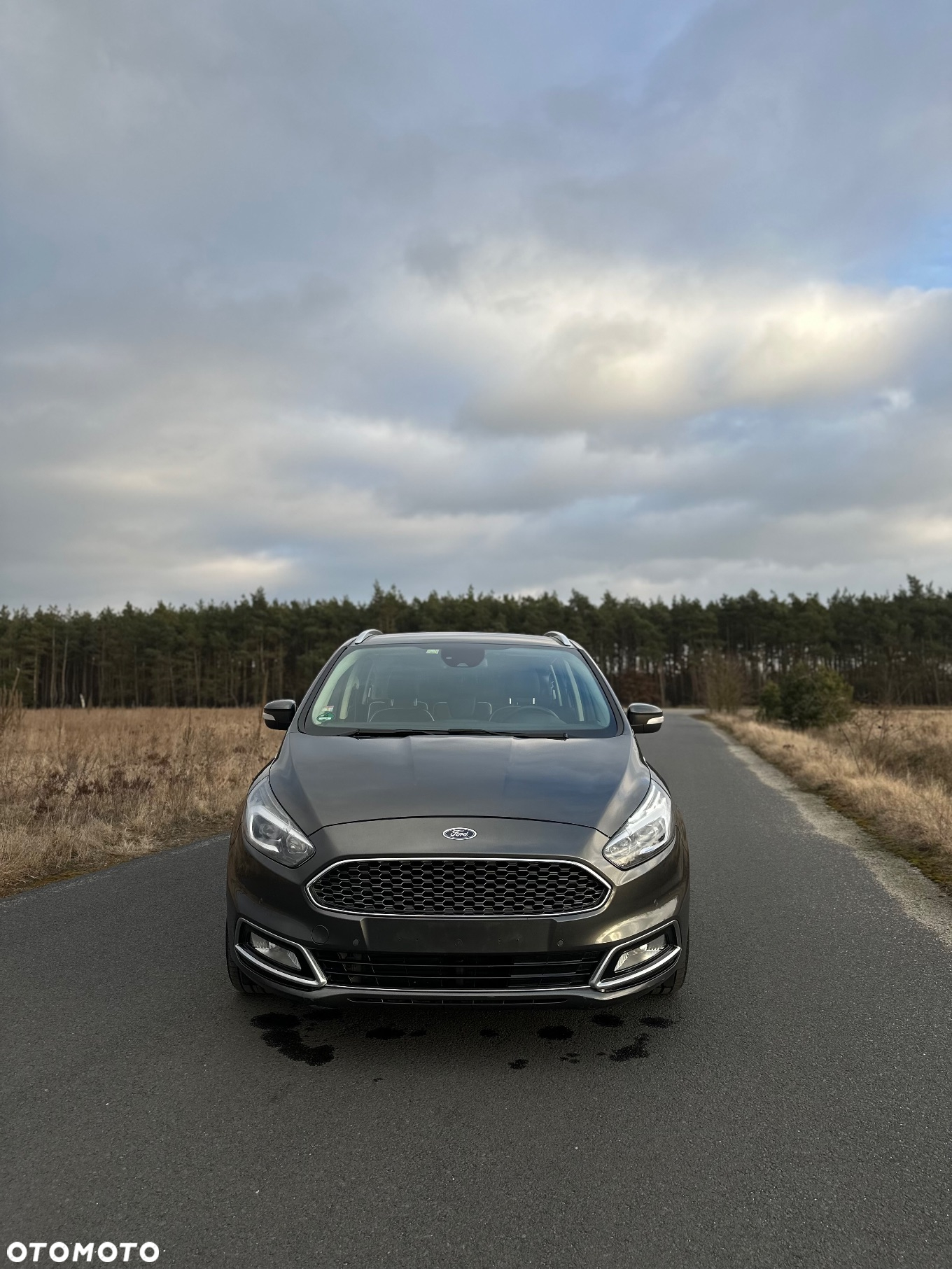 Ford S-Max 2.0 EcoBlue Vignale - 4