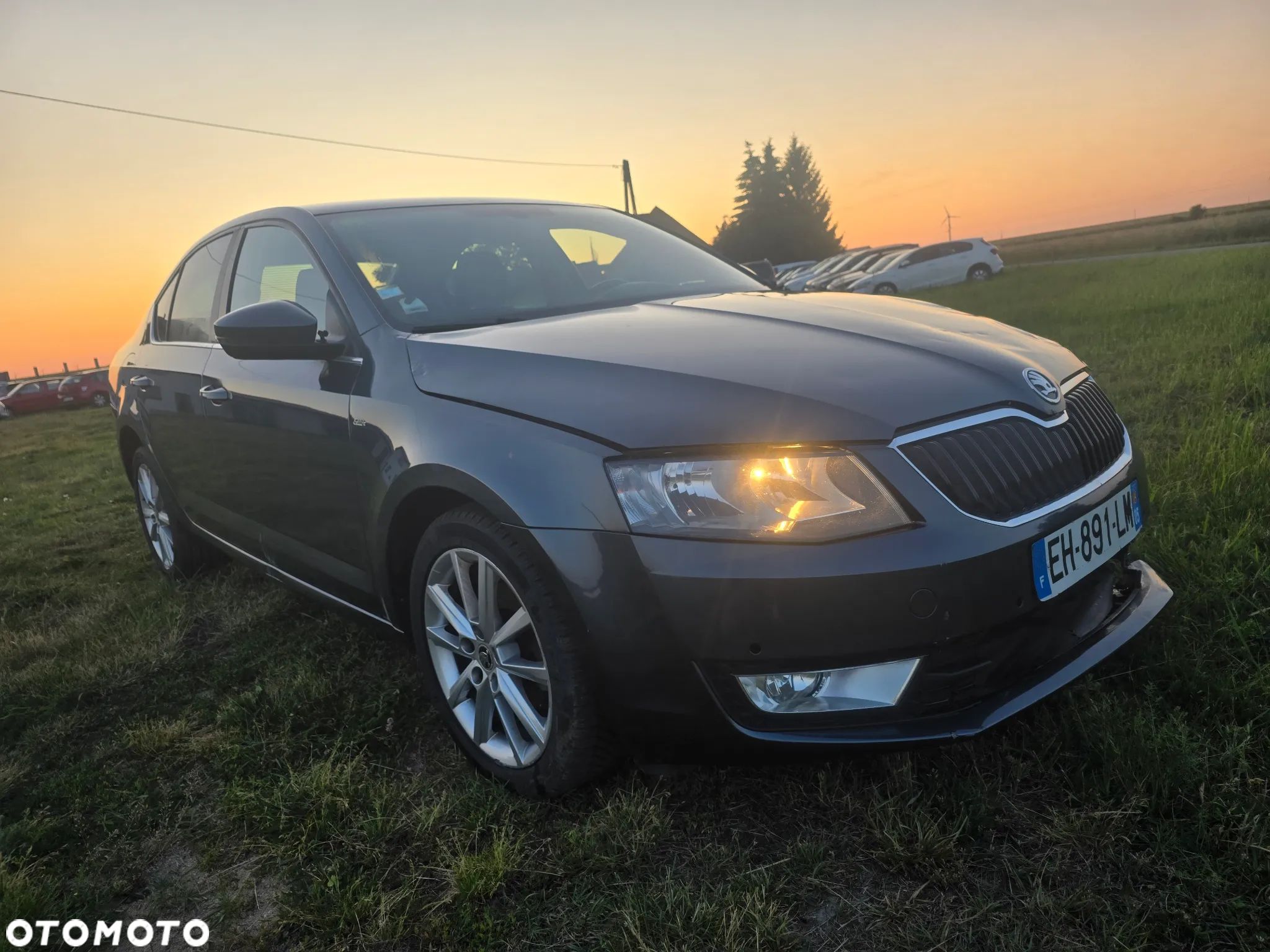 Skoda Octavia 1.6 TDI Edition - 1