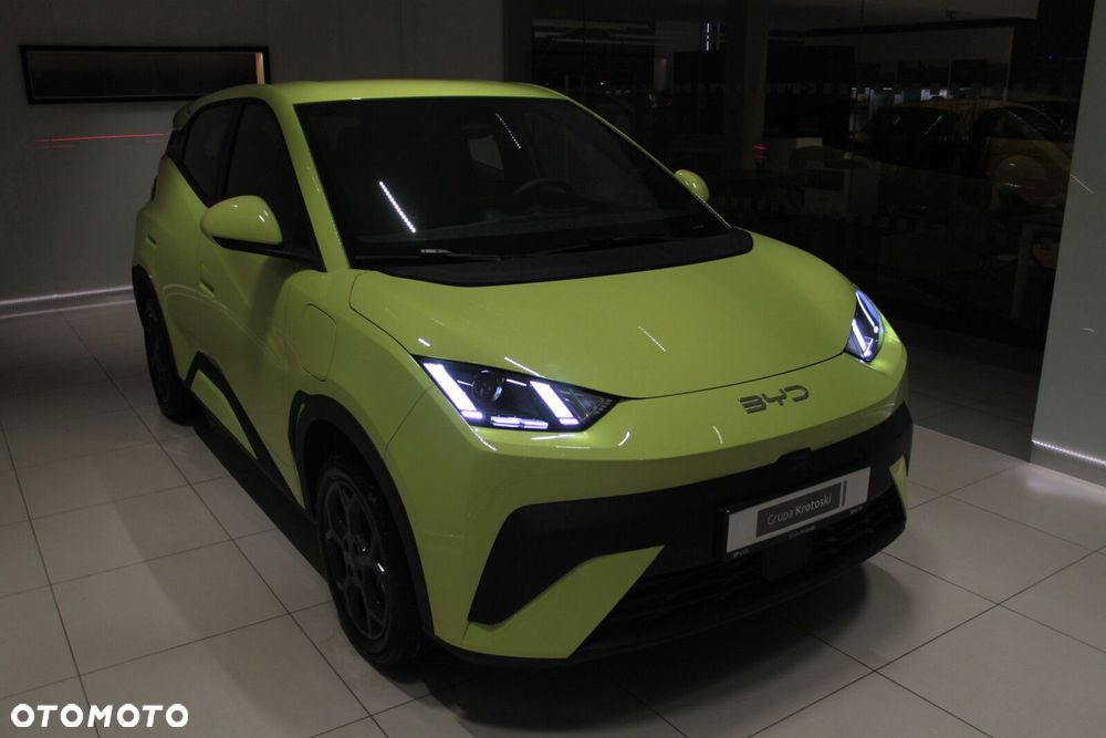 BYD Dolphin Surf - 9