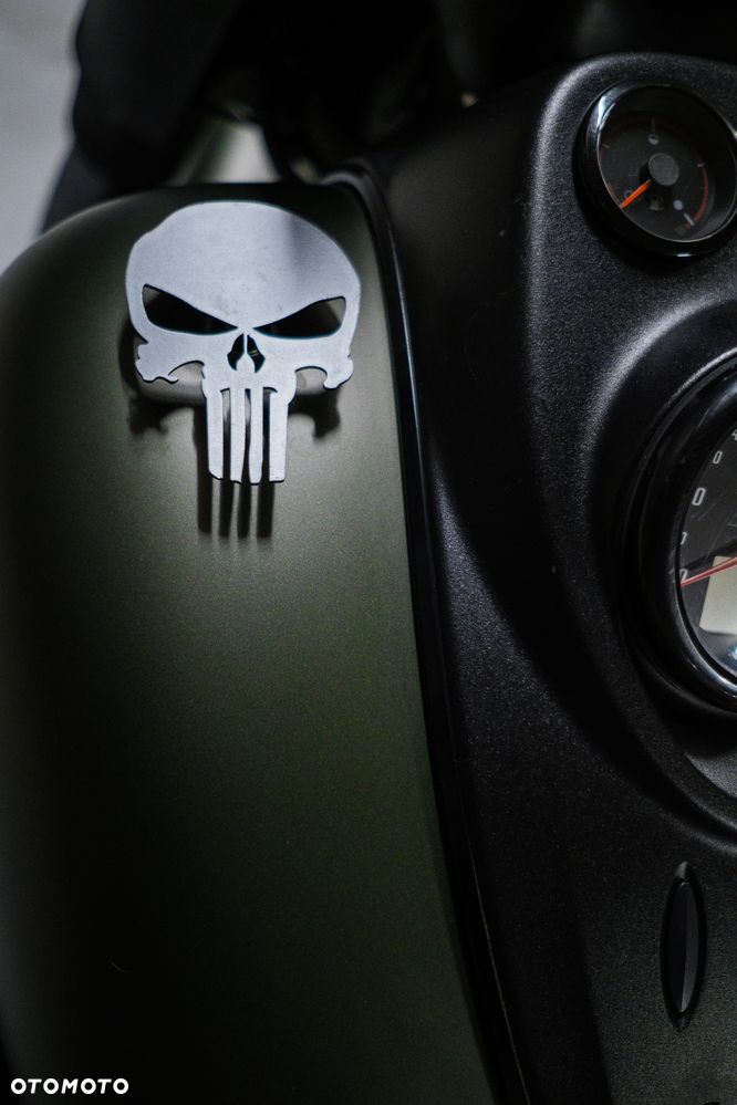 Indian Springfield - 13