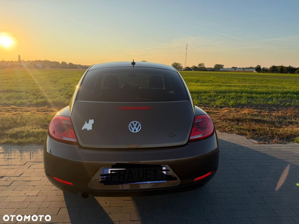 Volkswagen Beetle - 15