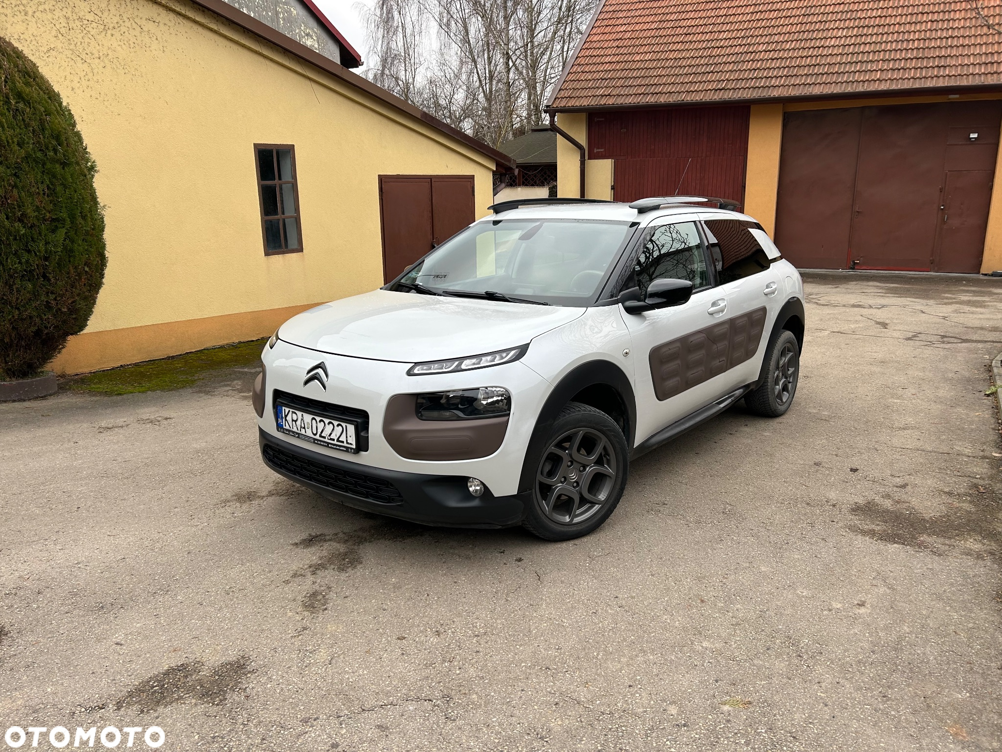 Citroën C4 Cactus 1.2 PureTech Shine - 6