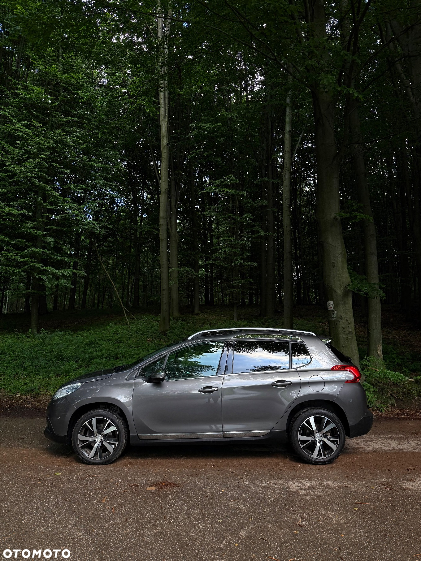 Peugeot 2008 1.2 PureTech Active Pack S&S - 2
