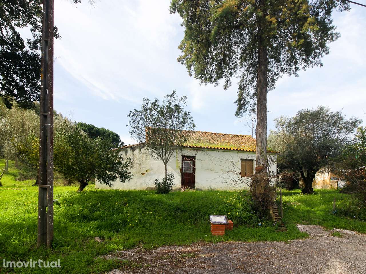 Terreno com cerca de 1 Hectare - Grande imagem: 2/20