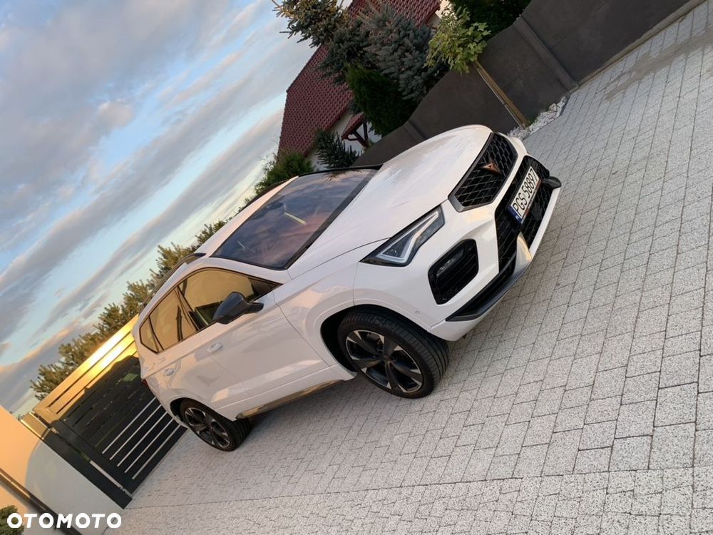 Cupra Ateca - 24