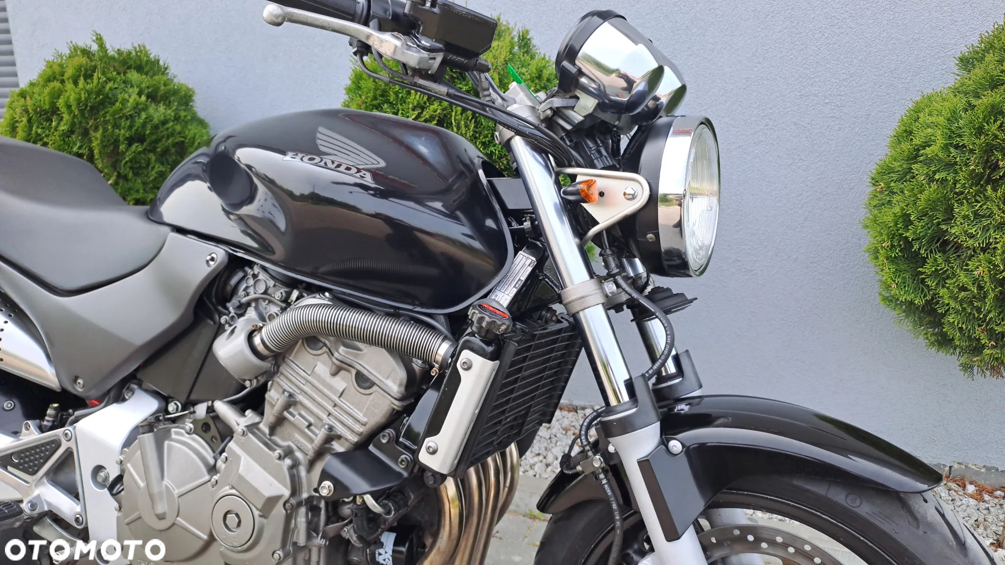Honda Hornet - 9