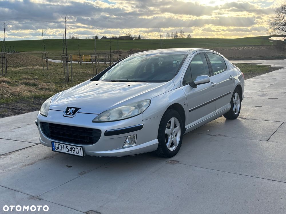 Peugeot 407 - 3