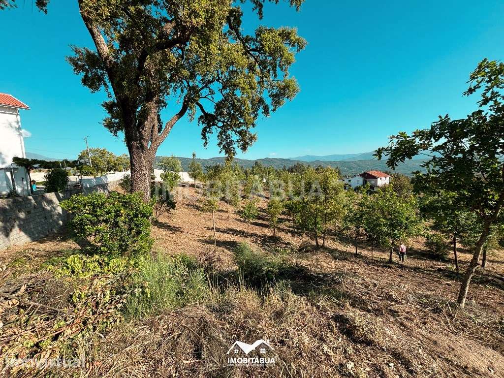 Terreno rústico de 8000 m2 com viabilidade de construção a cerca de... - Grande imagem: 3/20