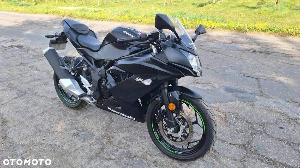 Kawasaki Ninja - 17