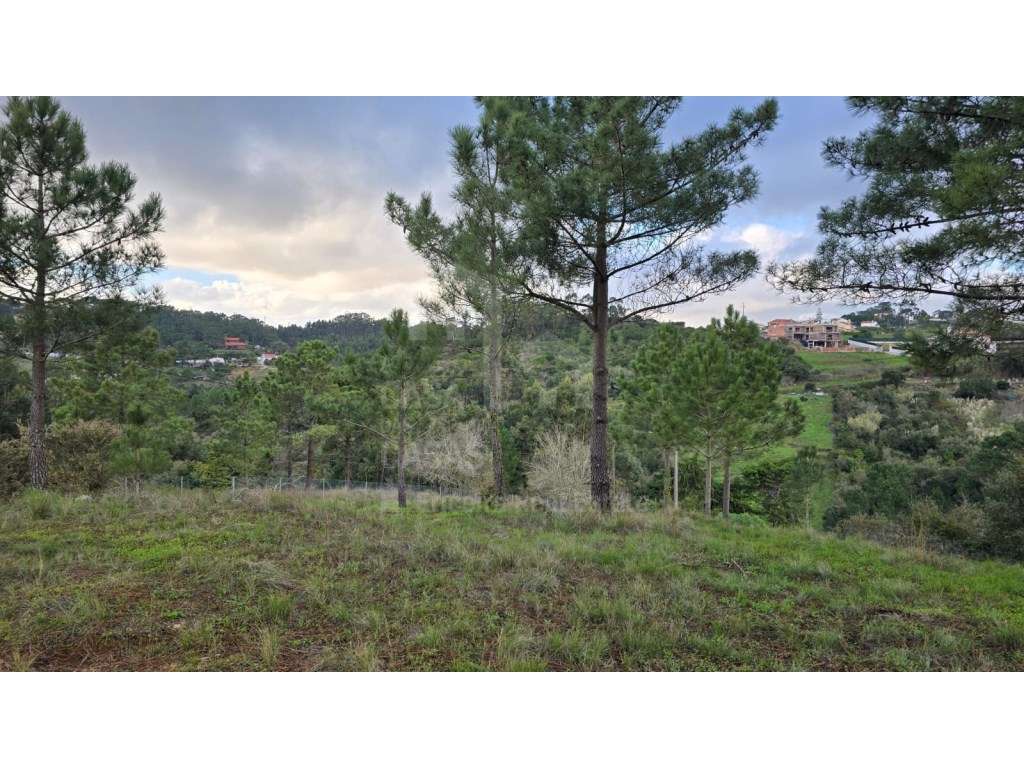 Vende Terreno - Ericeira 6 km, A Casa das Casas - Grande imagem: 3/10