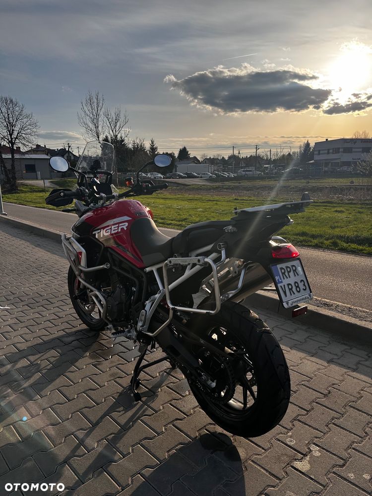 Triumph Tiger - 2