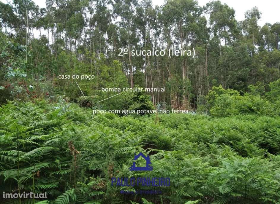 Terreno Baguim do Monte - Grande imagem: 4/12