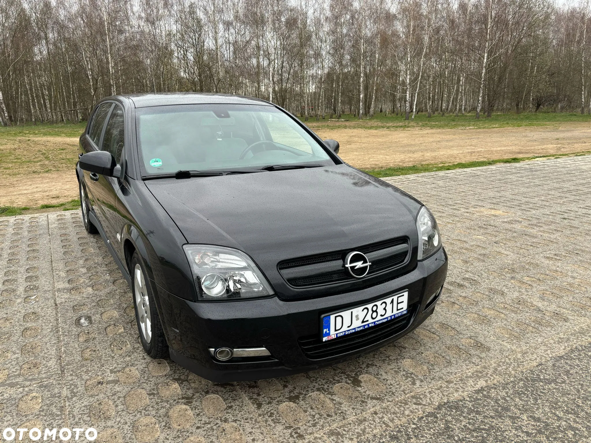 Opel Signum 2.2 Business Executive - 8