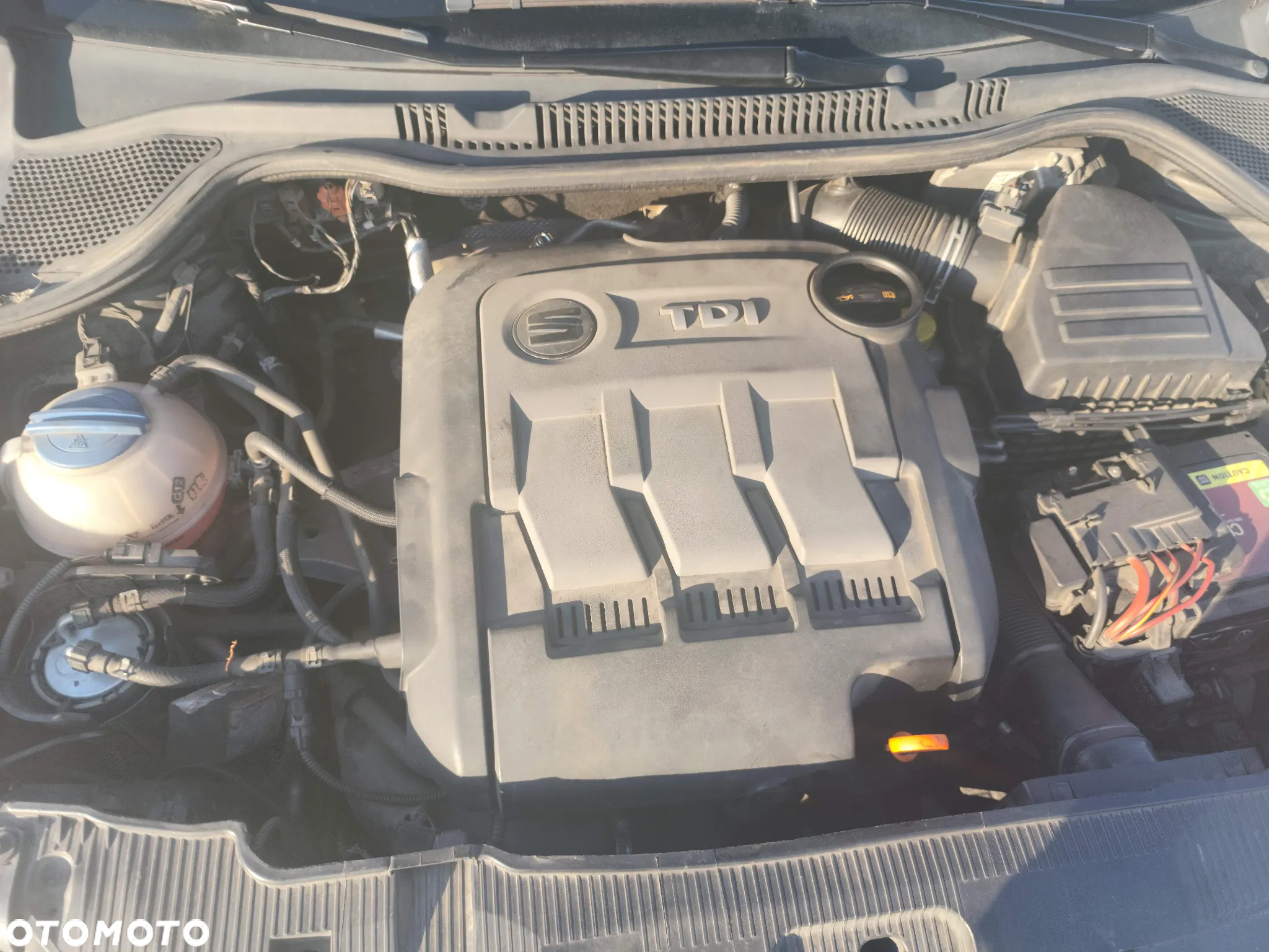 Seat Ibiza - 13