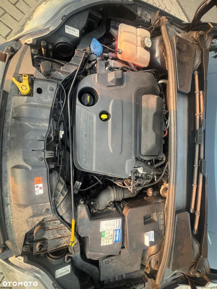Ford Focus - 15