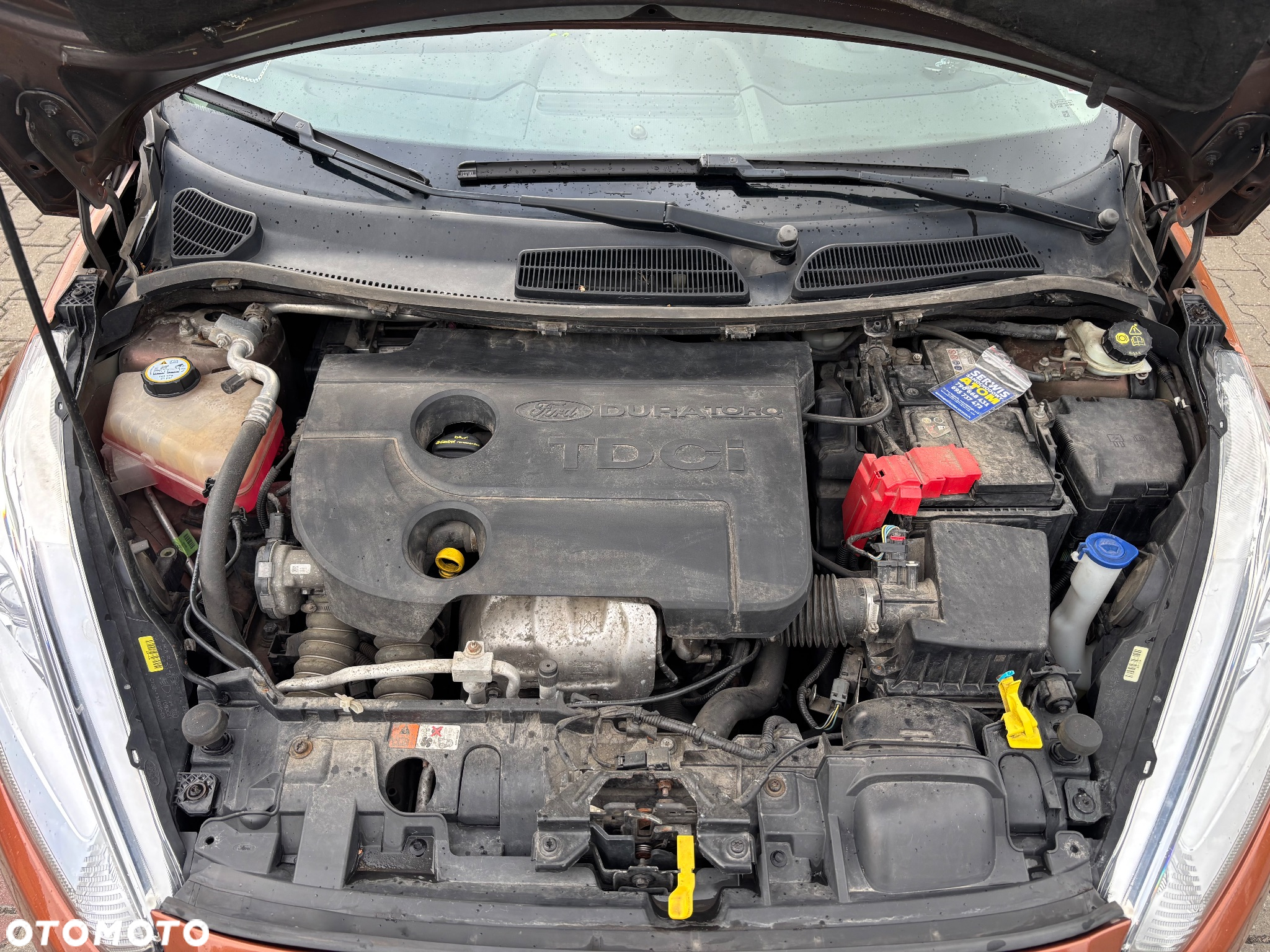 Ford Fiesta 1.6 TDCi ECOnetic Trend ASS - 8