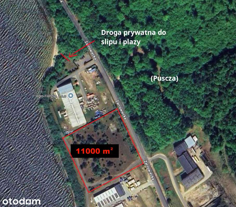 Unikatowa działka 1800m2 z prywatną plażą - Jezioro Żarnowieckie - Pełny obrazek: 2/7