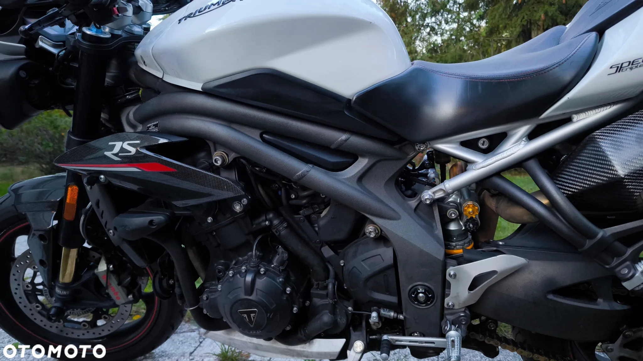 Triumph Speed Triple - 8