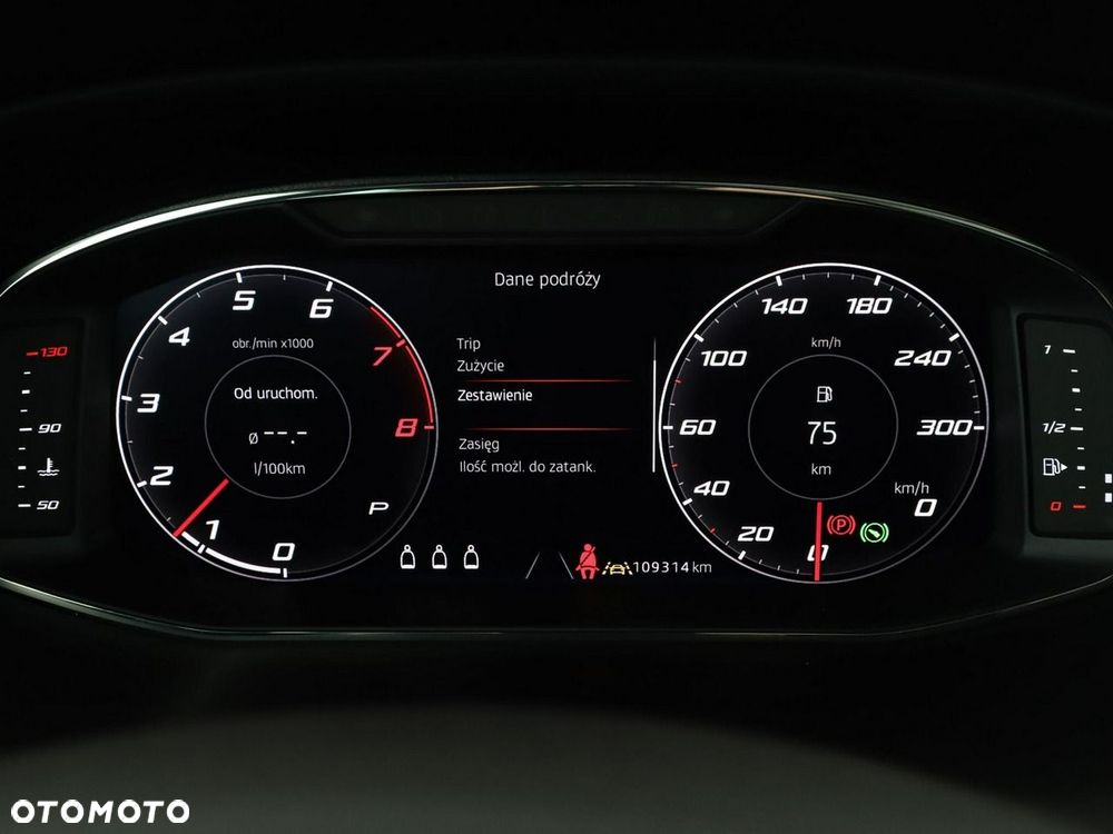 Cupra Ateca 2.0 TSI 4Drive DSG - 23