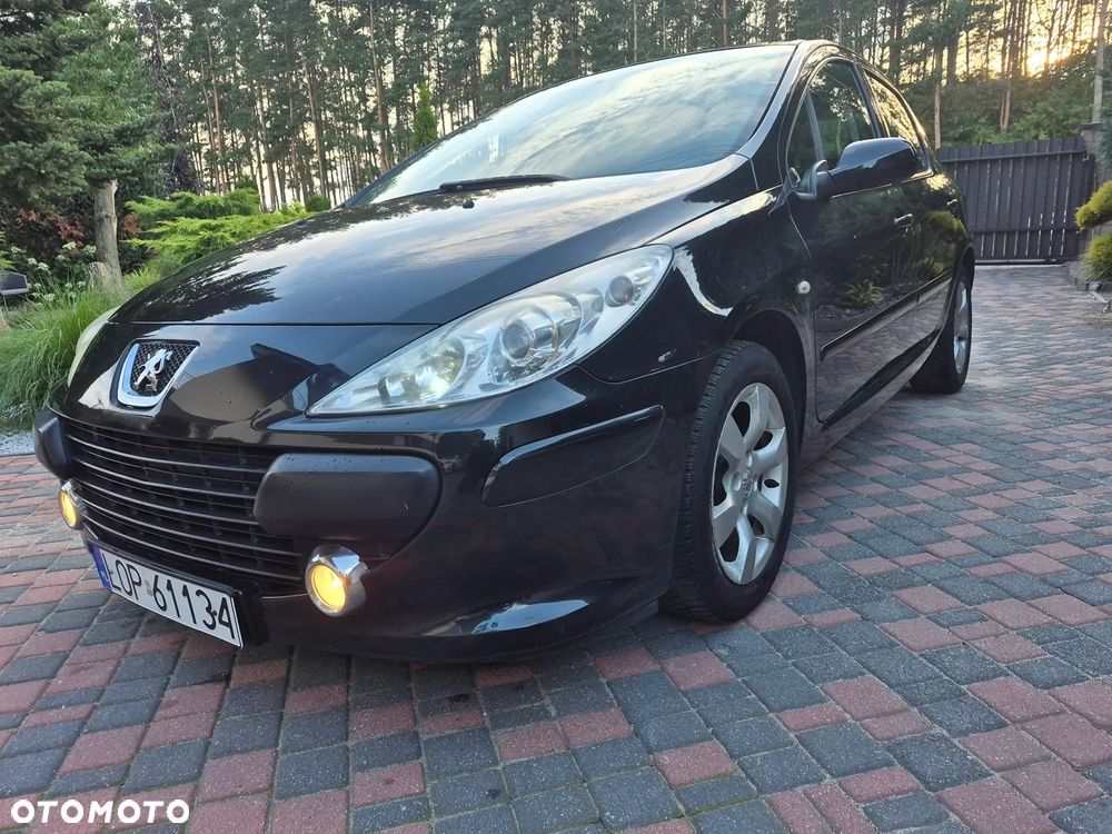 Peugeot 307 110 OXYGO - 10
