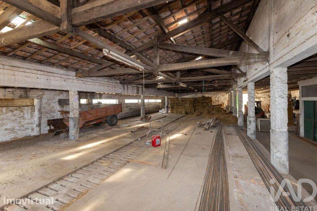 Terreno em Astromil de 2353397,00 m2 - Grande imagem: 5/15