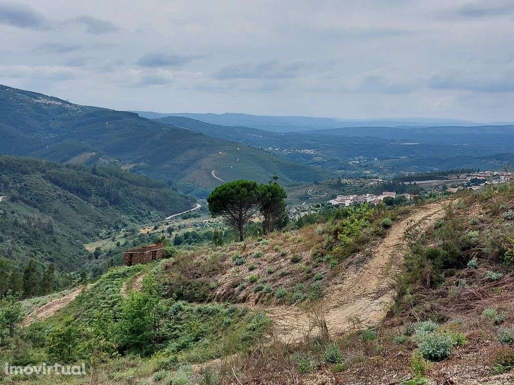 Venda Terreno - Grande imagem: 3/9