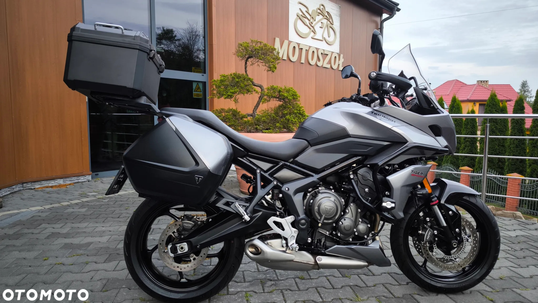 Triumph Tiger - 6