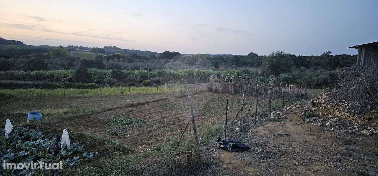 Tereno com agua e luz para agricultura - Grande imagem: 4/12