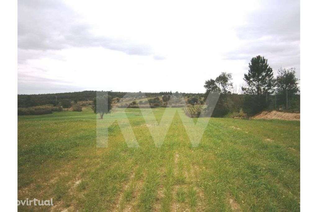 Terreno| 8 600 m2|perto da A1 Cartaxo|perto zona Industrial - Grande imagem: 2/7