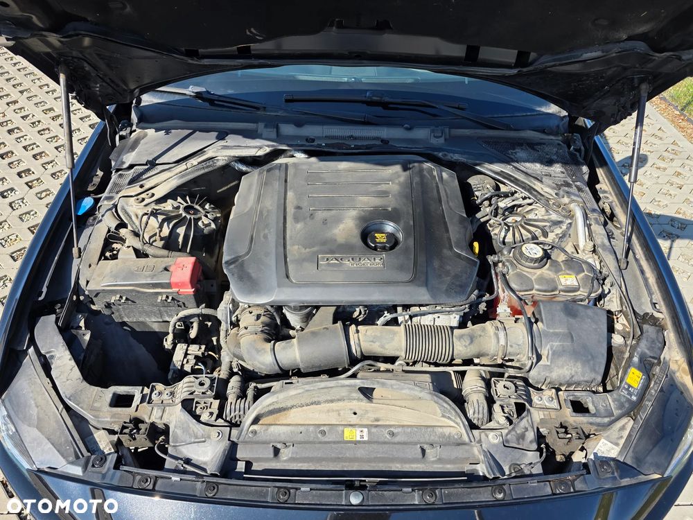 Jaguar XE E-Performance Pure - 14