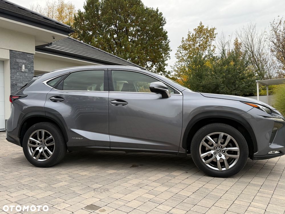 Lexus NX - 10