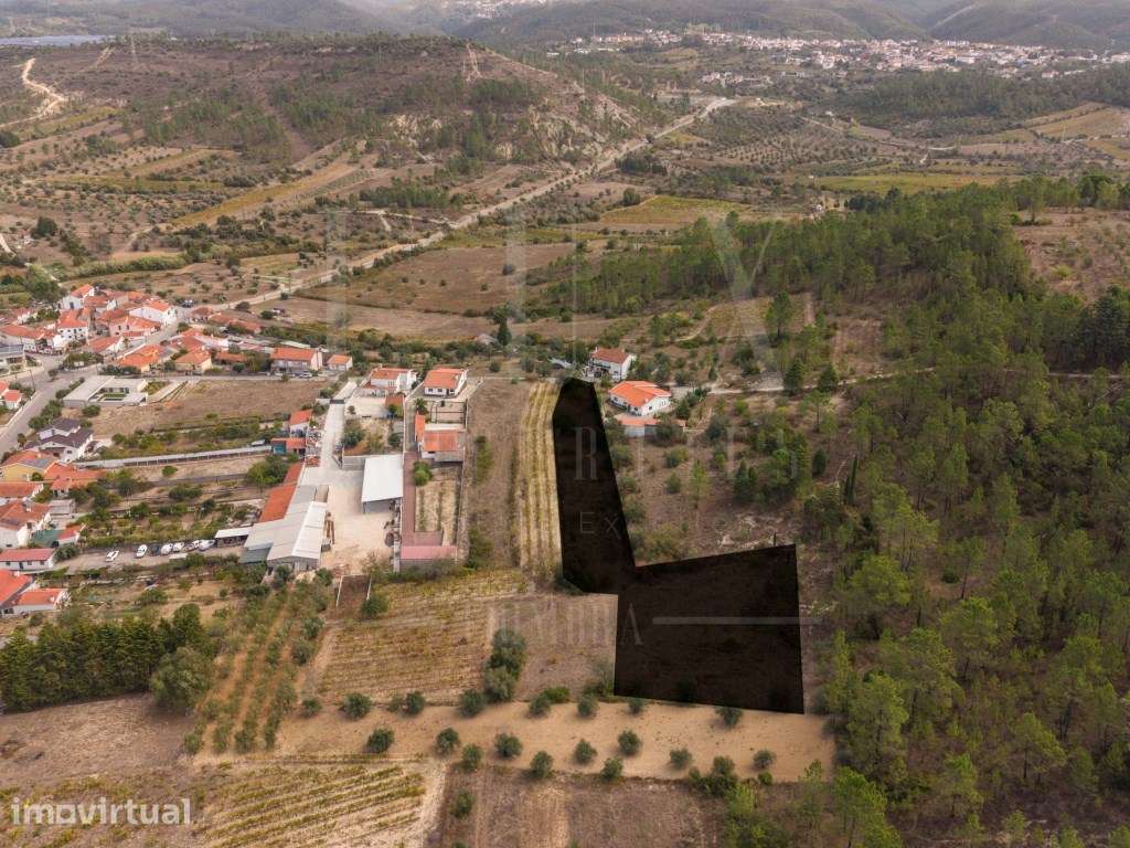 2 Terrenos Rústicos | Torre de Vilela, Coimbra - Grande imagem: 5/16