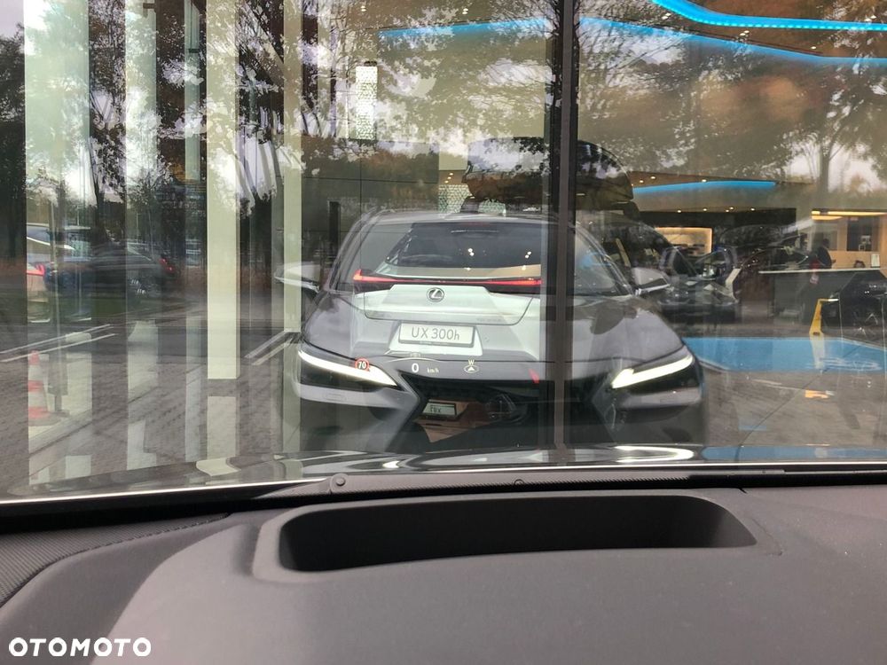 Lexus NX - 39
