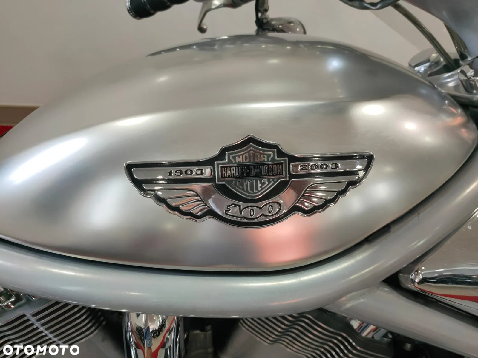 Harley-Davidson Softail V-Rod - 6