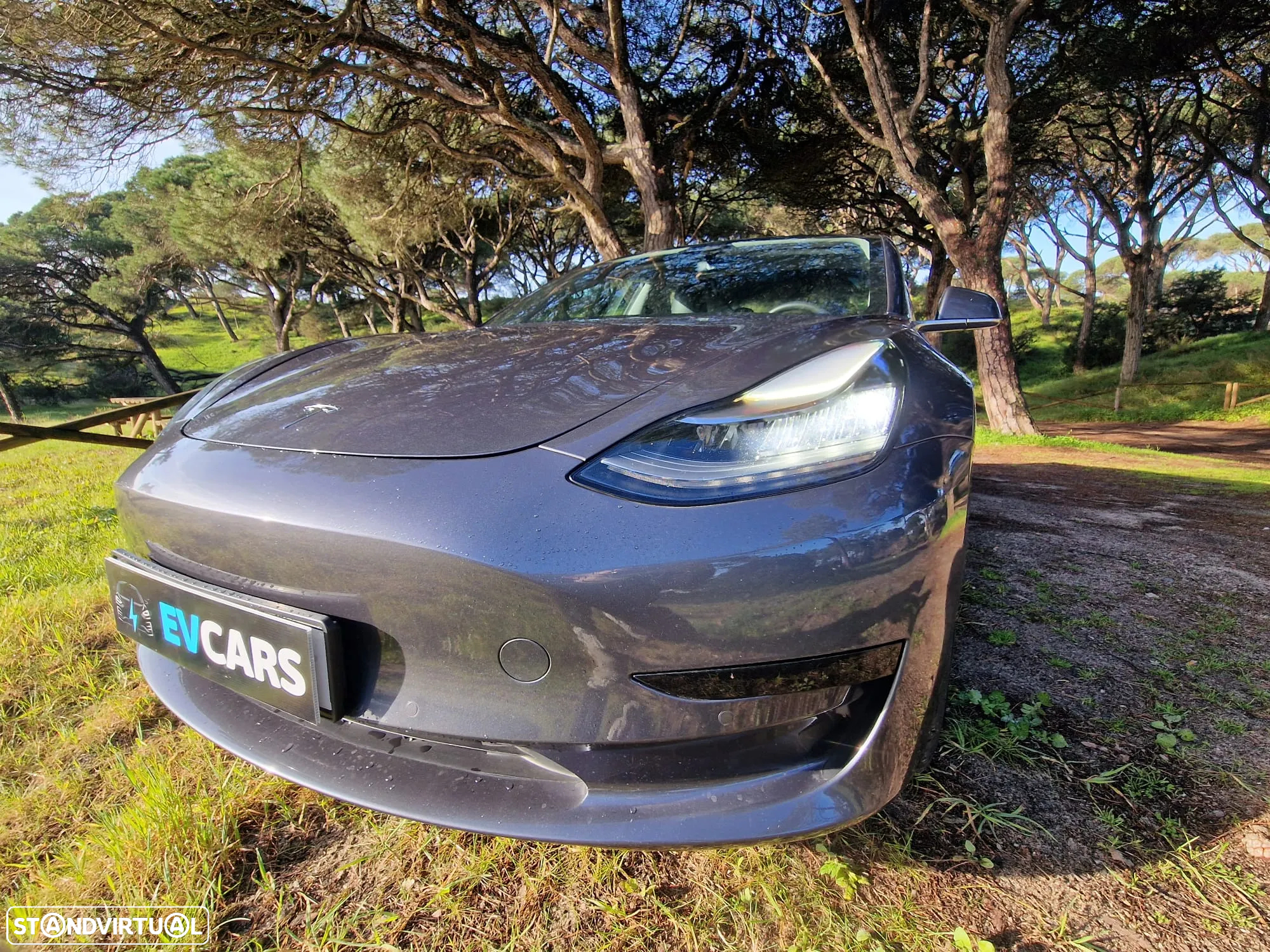 Tesla Model 3 Standard Range Plus RWD - 25