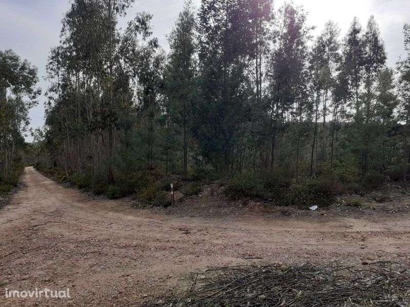 Terreno rústico, com 17000 m2. - Grande imagem: 2/3