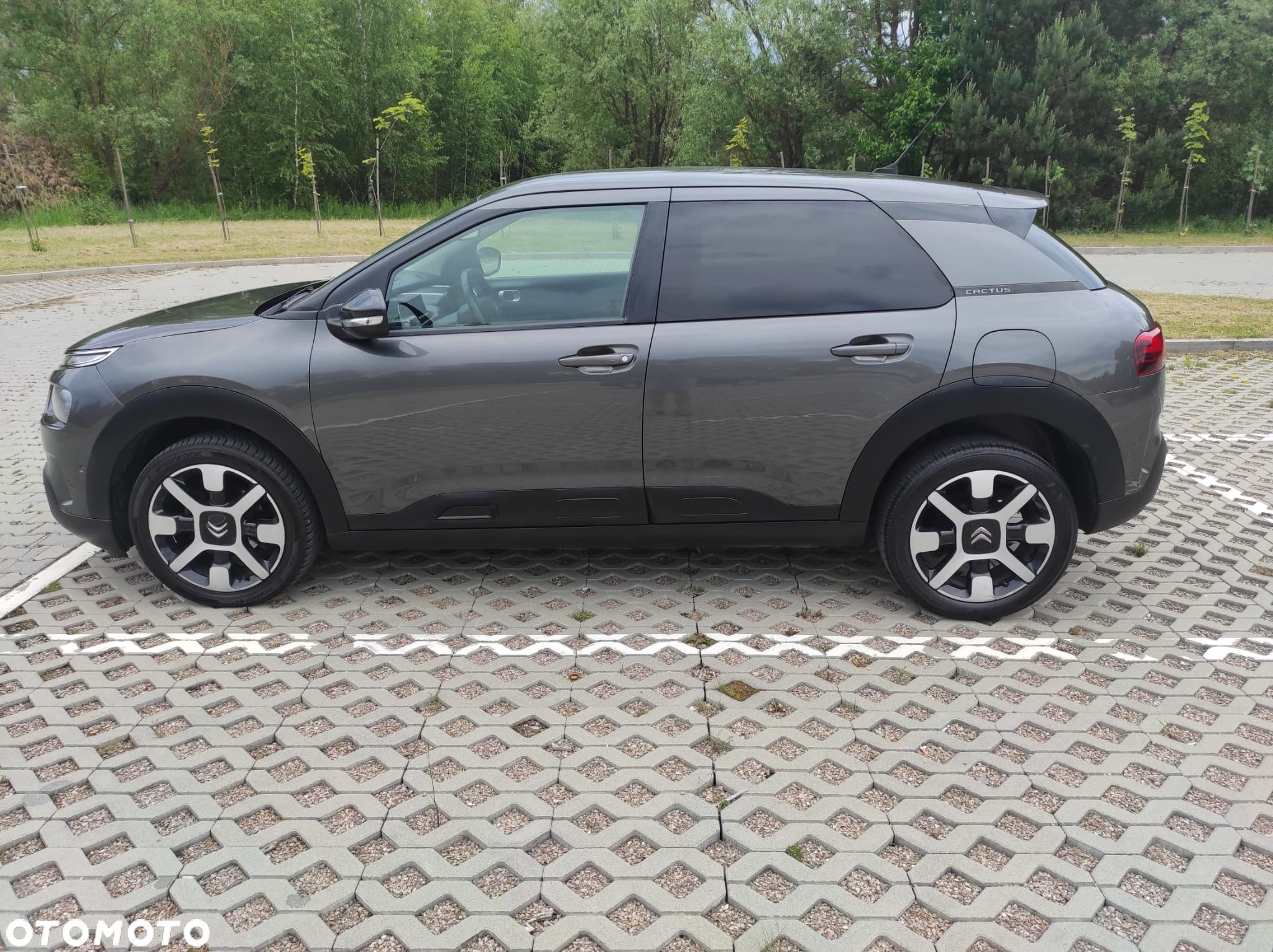 Citroën C4 Cactus - 6