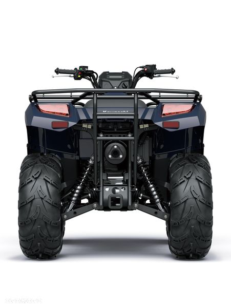 Kawasaki Brute Force - 3