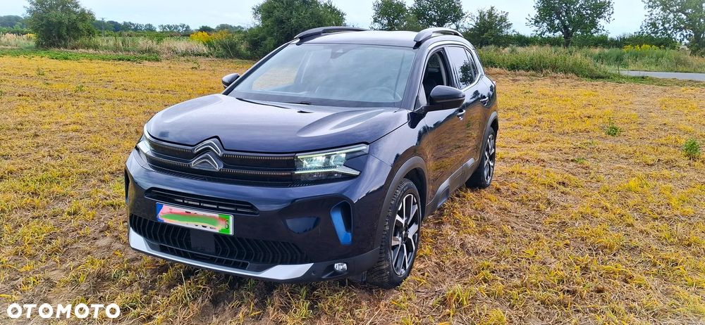 Citroën C5 Aircross BlueHDI 130 S&S EAT8 SHINE - 19