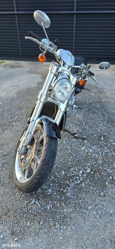 Harley-Davidson V-Rod Street Rod - 7