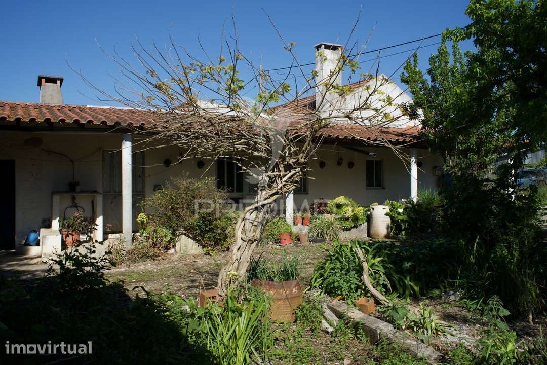 Casa de Aldeia com Terreno, Poço | Sobral – São Vicente do Paul - Grande imagem: 5/40