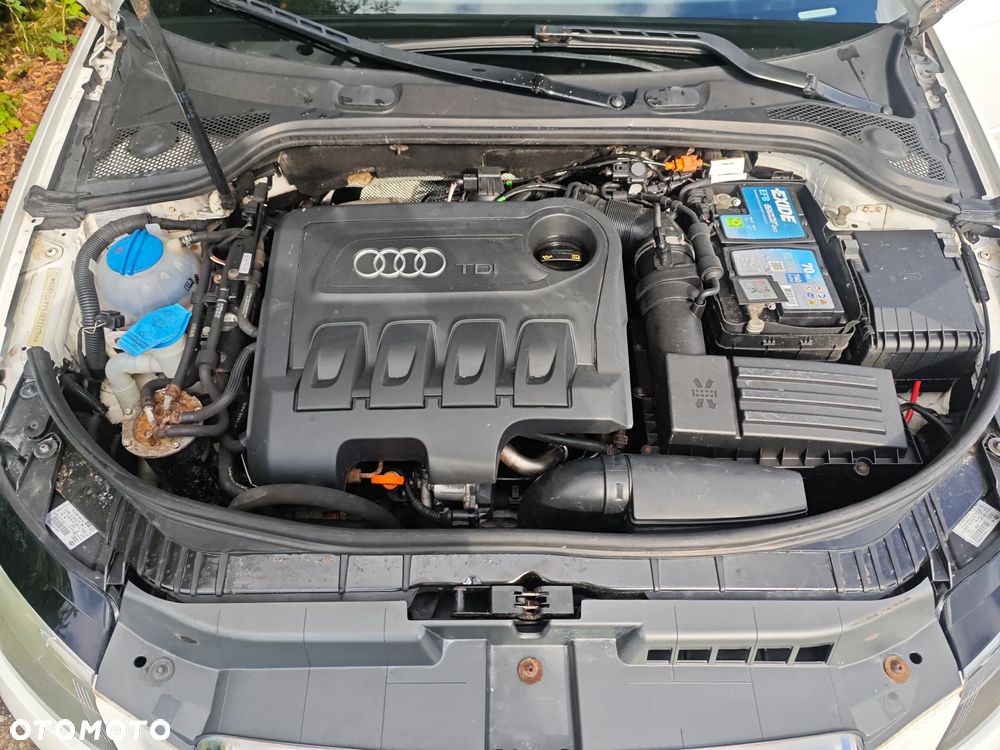 Audi A3 3-drzwiowe 2.0 TDI DPF Attraction - 19