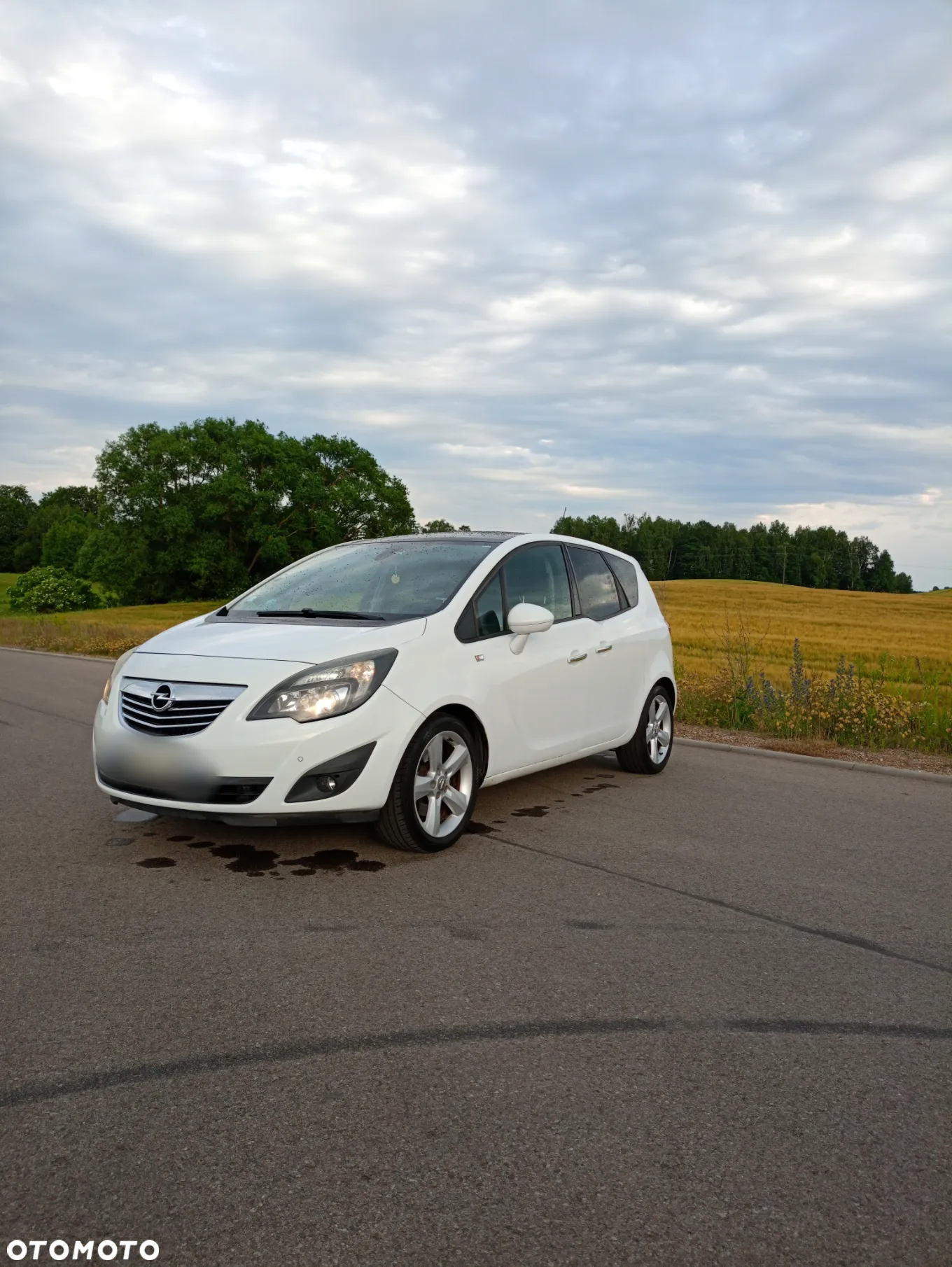 Opel Meriva 1.7 CDTI Design Edition - 3