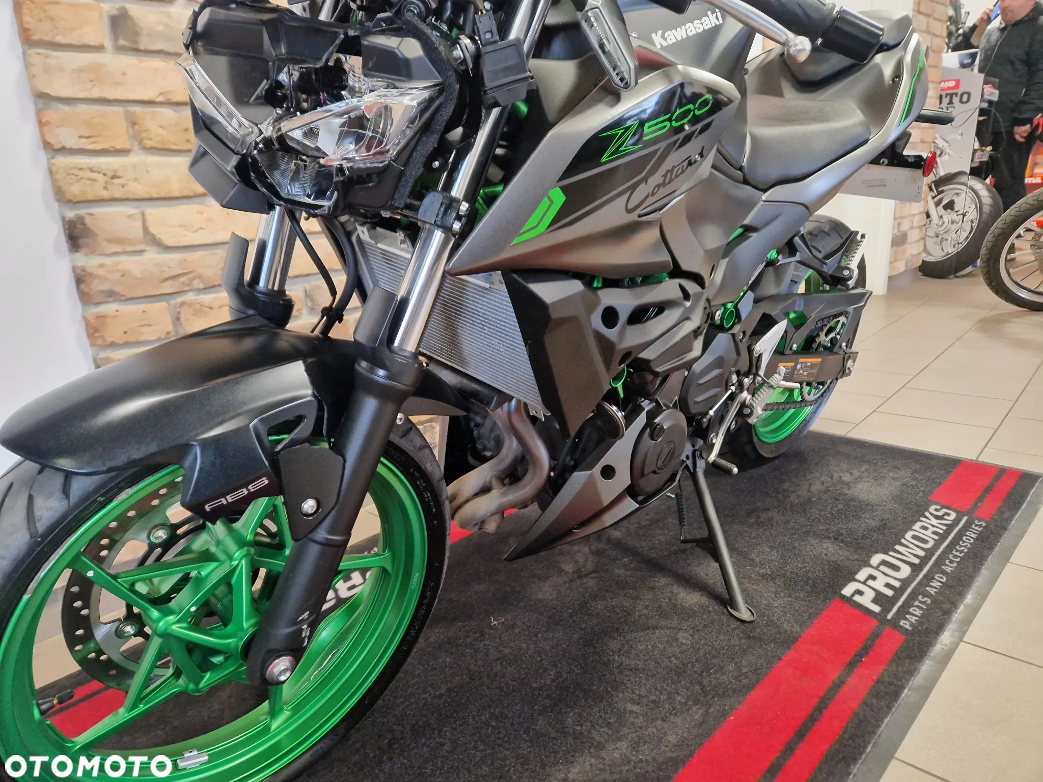 Kawasaki Z - 10