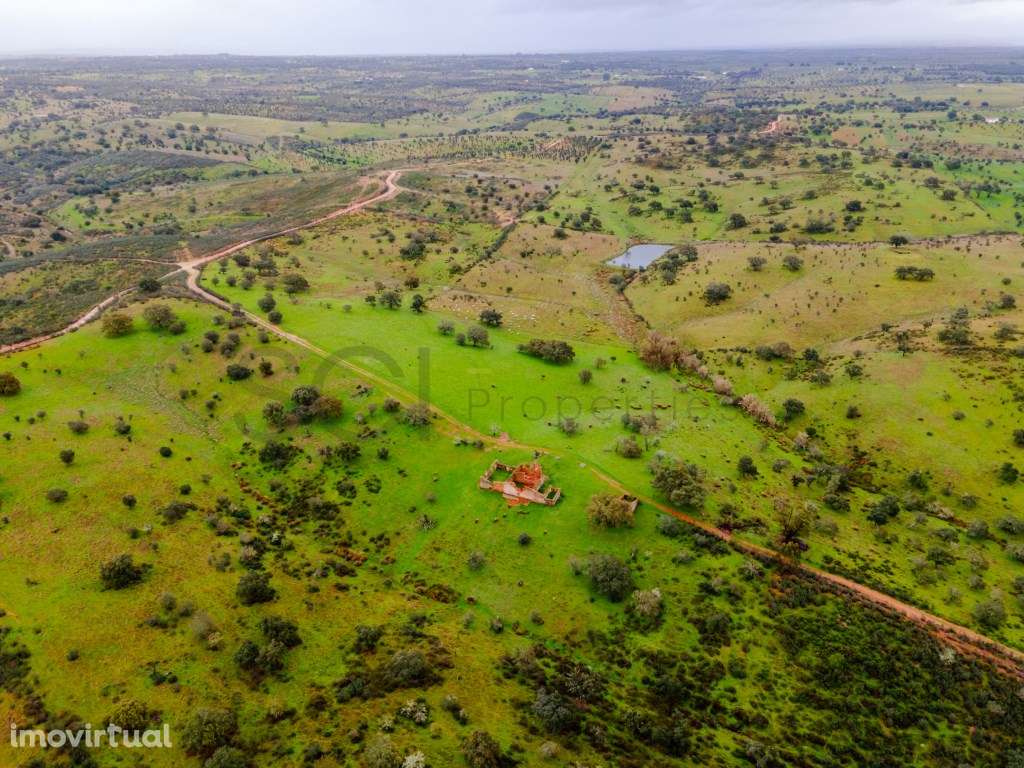Herdade em Vila Nova de São Bento | 172 hectares - Grande imagem: 3/32