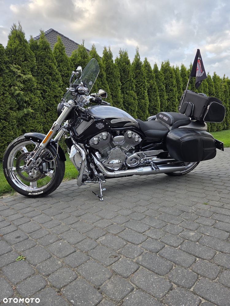 Harley-Davidson V-Rod Muscle - 19