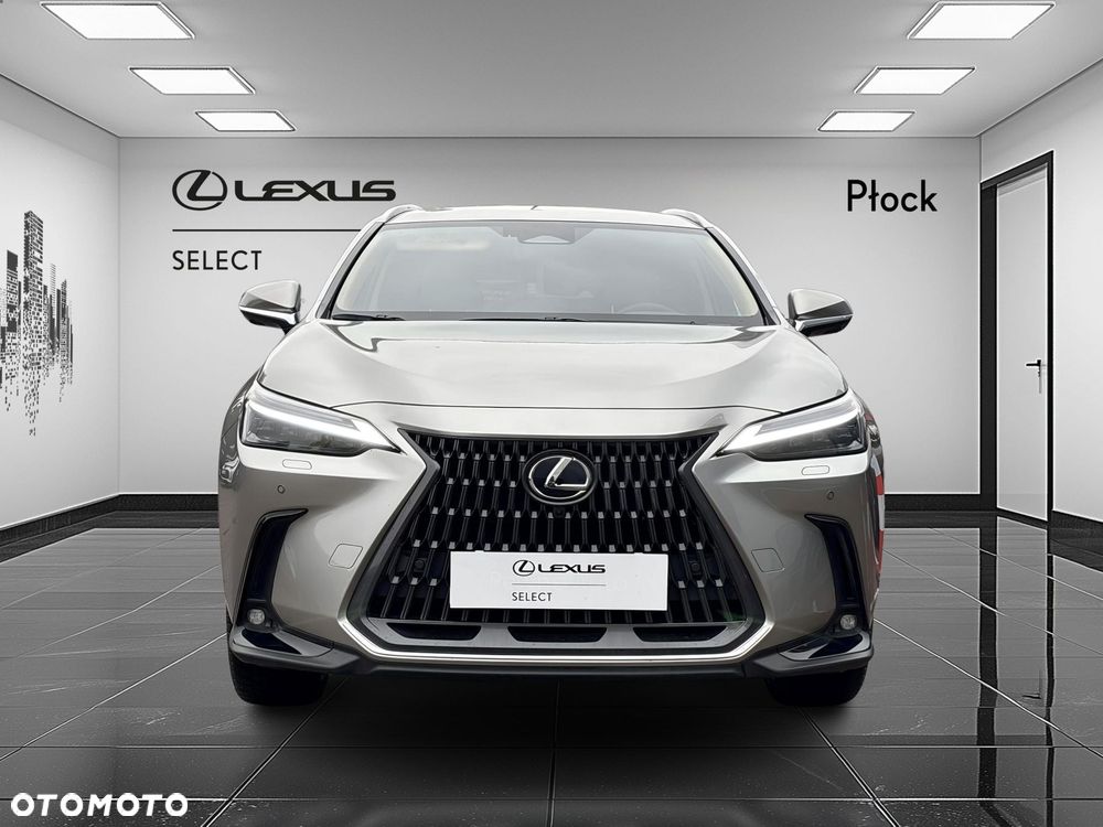 Lexus NX - 8