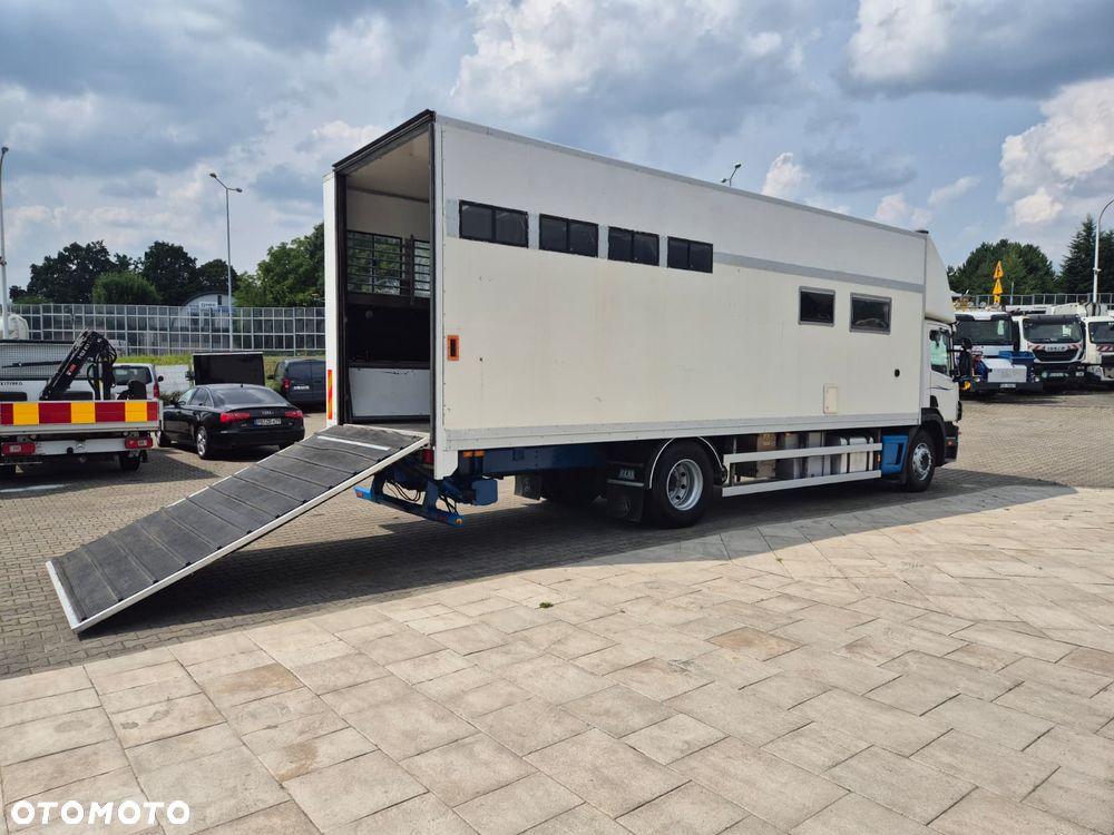 Scania P94LB 300 4X2 / KONIOWÓŻ / DO PRZEWOZU ZWIERZĄT / BYDŁO / KONIE / POMIESZCZENIE GOSPODARCZE / SERWISOWANY / 1WŁ / 5 MIEJSC / MANUAL / RAMPA - 41