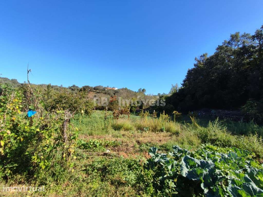 Terreno rústico com 280m² - Pomar, Tomar - Grande imagem: 3/16