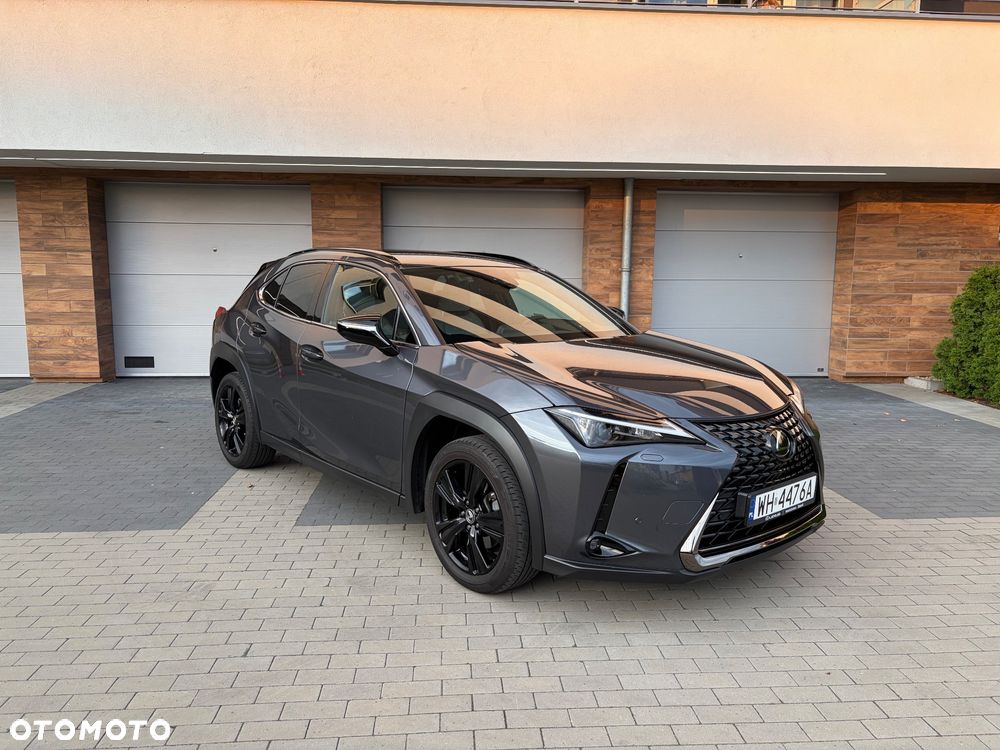 Lexus UX - 31